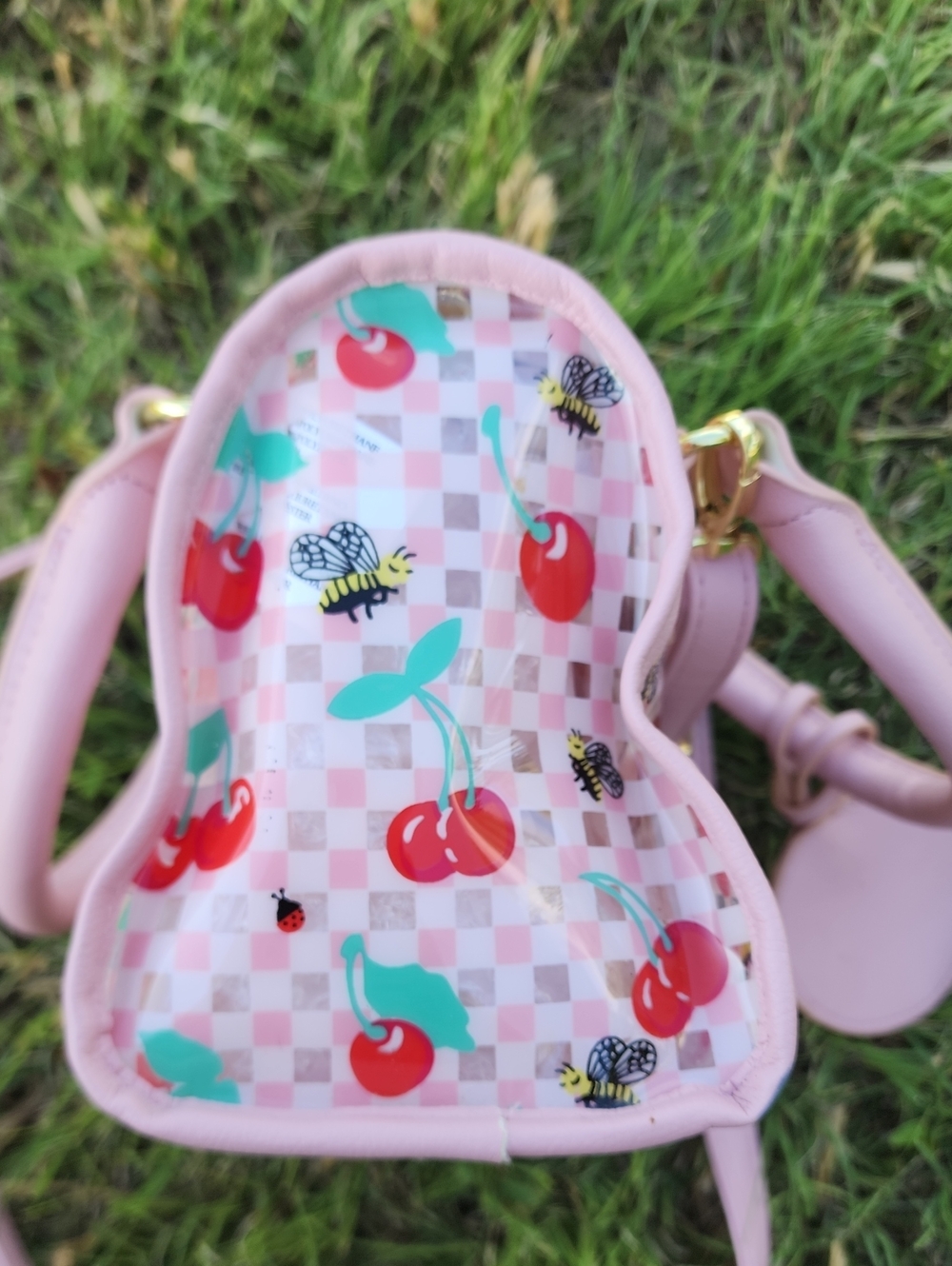 Betsey Johnson LUV BETSEY Pink Clear Cherry Crossbody bag With Cherry HANGTAG - Picture 6 of 9